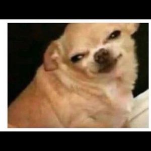 Meet your Posher, Moises